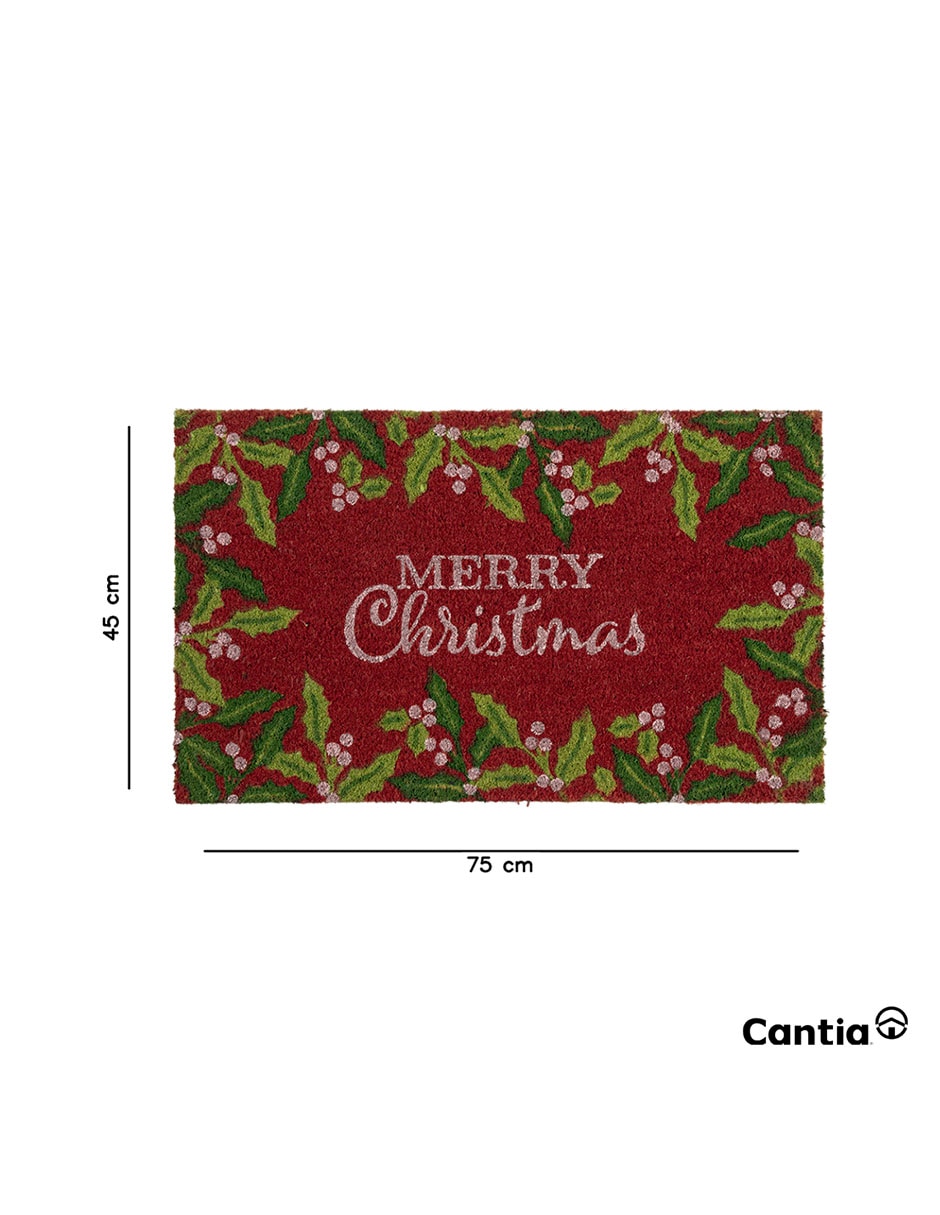 Tapete de entrada para (si aplica) Exterior HOLLY 4