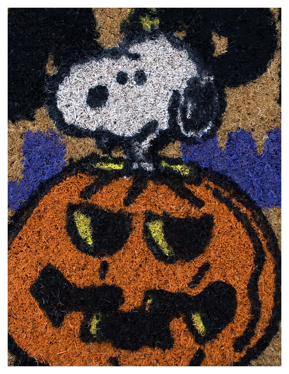Tapete snoopy 4